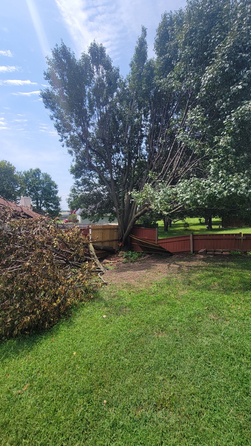 Backyard tree trimming and pruning with brush piled for haul-off in Warrensburg, MO