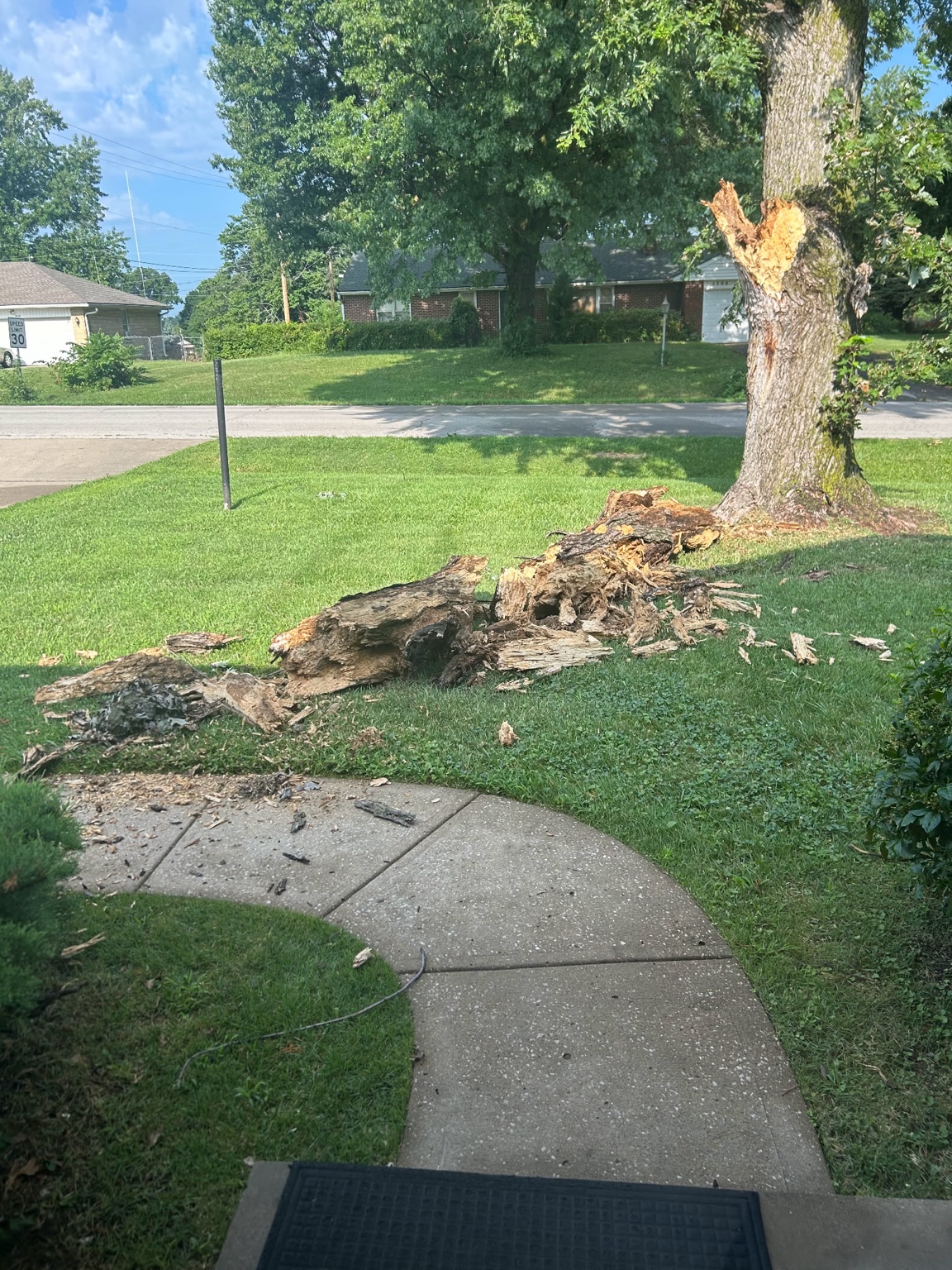 Storm-broken tree limb removal in Warrensburg, MO