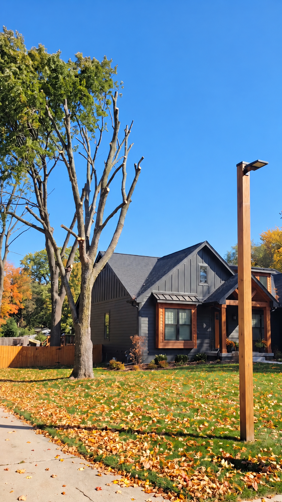 Tree trimming and pruning at a home in Warrensburg, MO