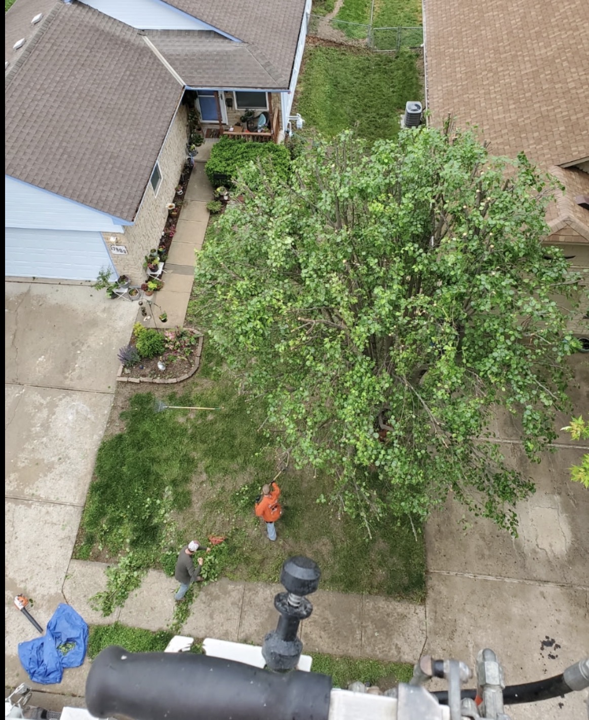 Aerial view of a tree trimming crew working in a residential Warrensburg, MO yard