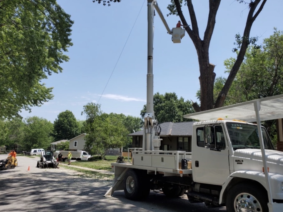 Bucket truck and aerial lift removing a large tree at a residential property in Warrensburg, MO