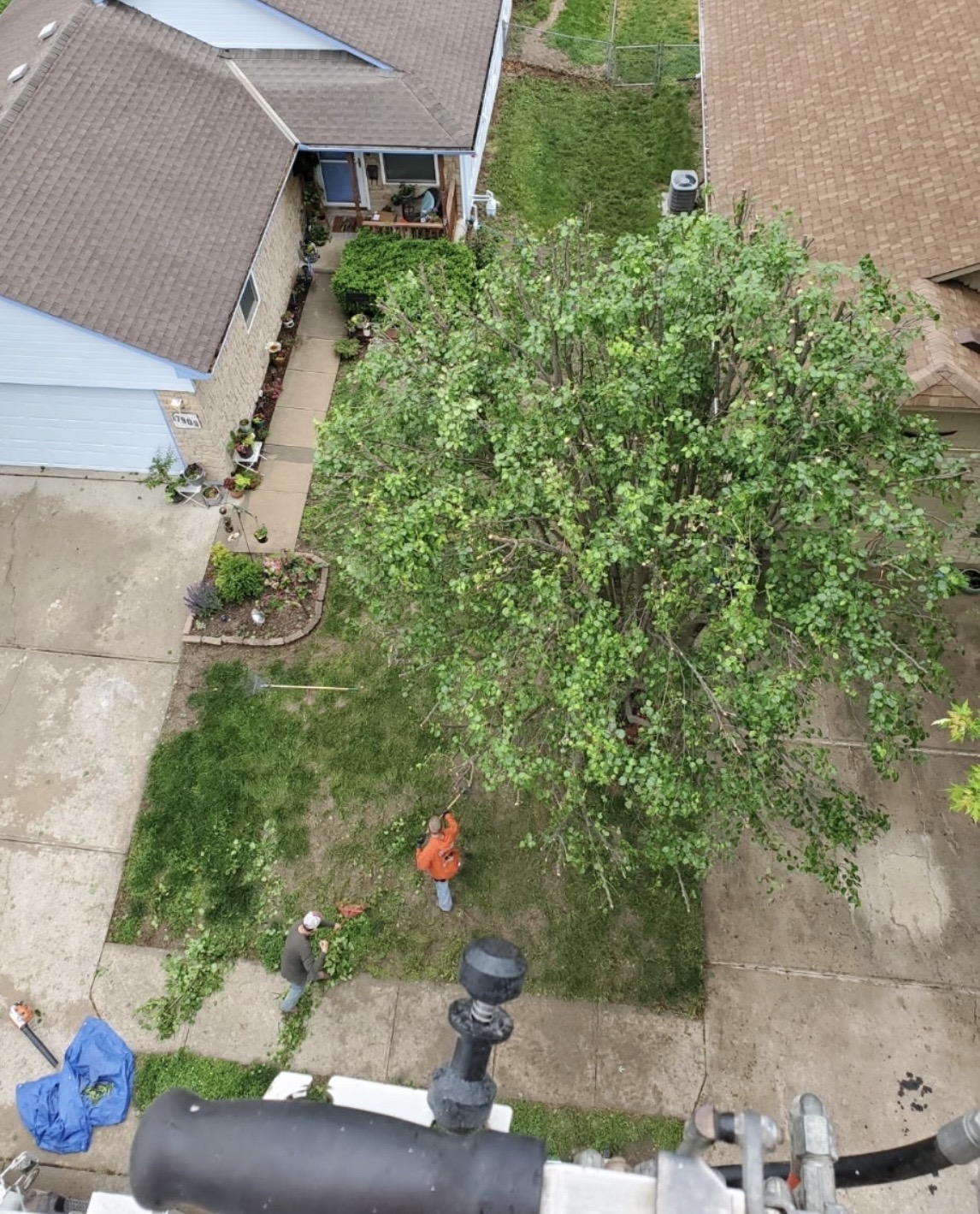 Aerial view of a two-person crew cleaning up brush after trimming a large tree in a Warrensburg, MO yard