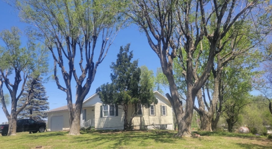 Mature residential trees after pruning around a Warrensburg, MO home