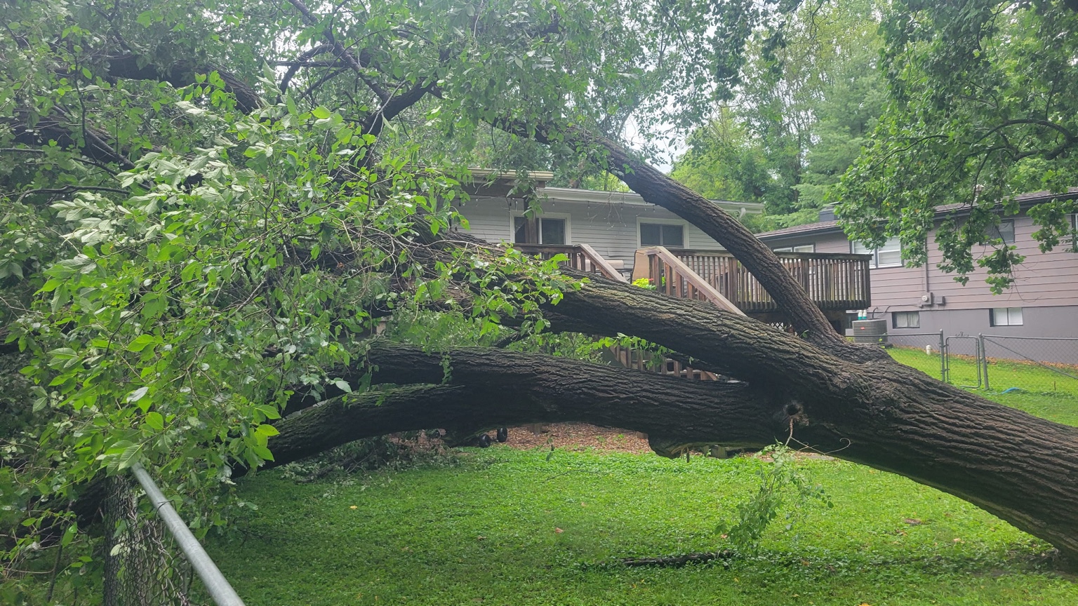 Large fallen tree across a residential backyard during emergency removal in Warrensburg, MO