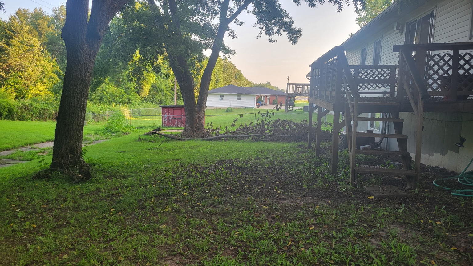 Backyard cleaned up after tree limb removal at a home in Warrensburg, MO