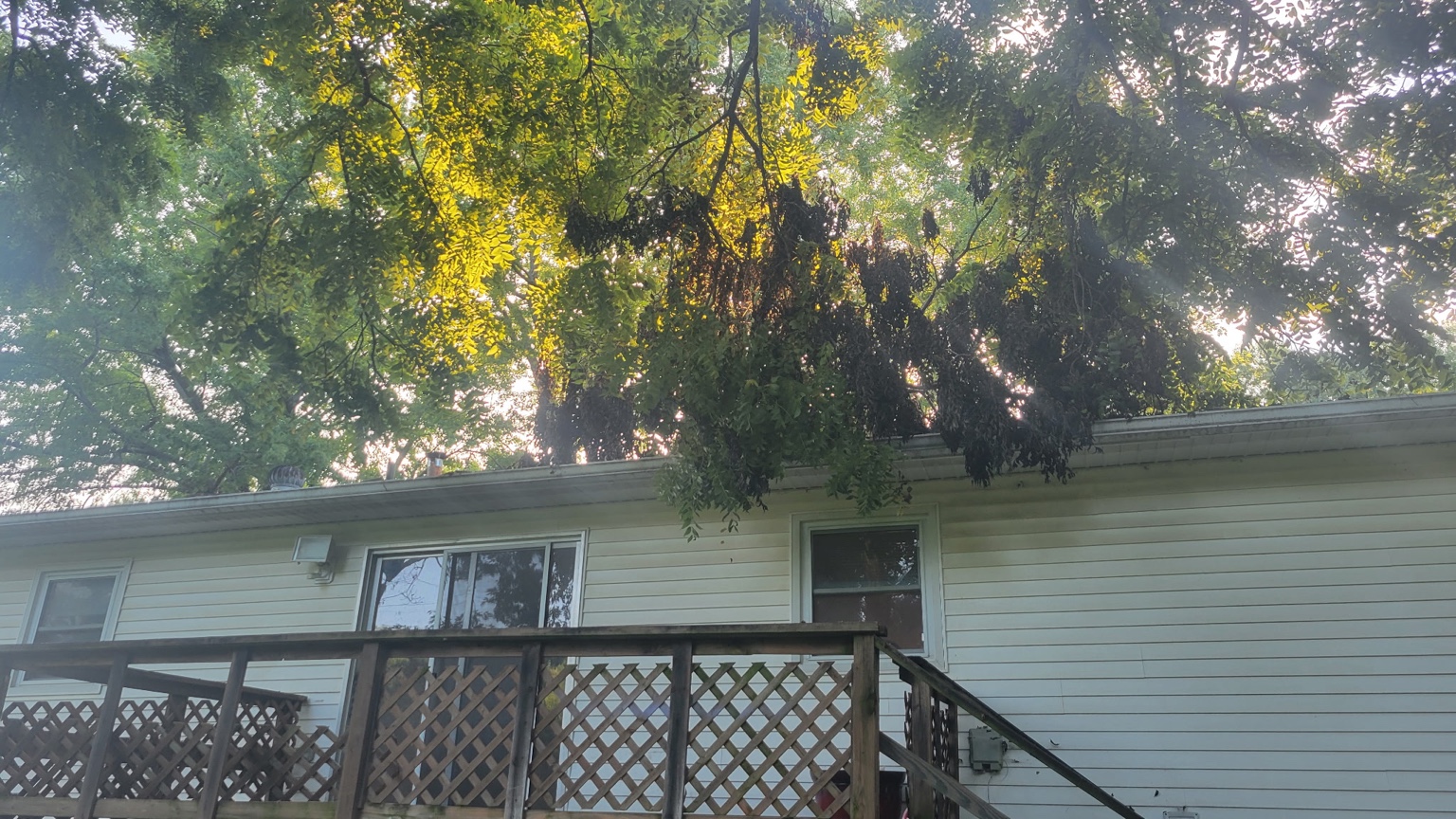 Hazardous tree limbs hanging over the roof of a house in Warrensburg, MO